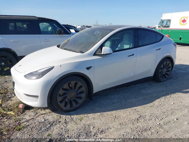 Продаж на аукціоні авто 2024 Tesla Model Y, vin: 7SAYGDEF3RF072119, номер лоту: 12588799