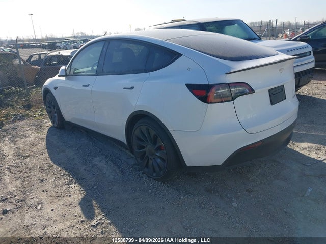 Продаж на аукціоні авто 2024 Tesla Model Y, vin: 7SAYGDEF3RF072119, номер лоту: 12588799