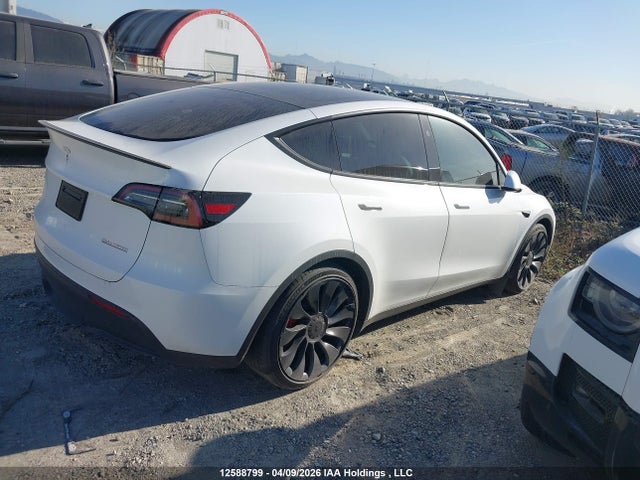 Продаж на аукціоні авто 2024 Tesla Model Y, vin: 7SAYGDEF3RF072119, номер лоту: 12588799