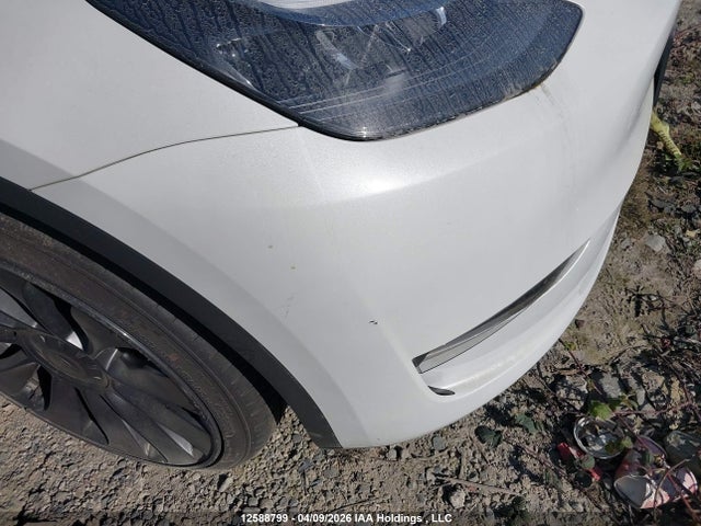 Продаж на аукціоні авто 2024 Tesla Model Y, vin: 7SAYGDEF3RF072119, номер лоту: 12588799