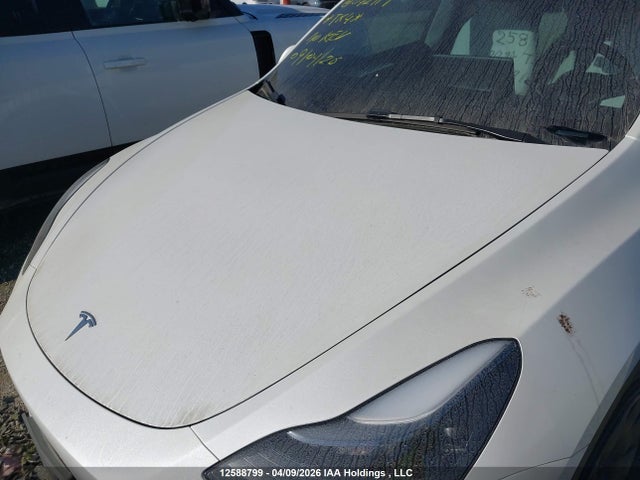 Продаж на аукціоні авто 2024 Tesla Model Y, vin: 7SAYGDEF3RF072119, номер лоту: 12588799