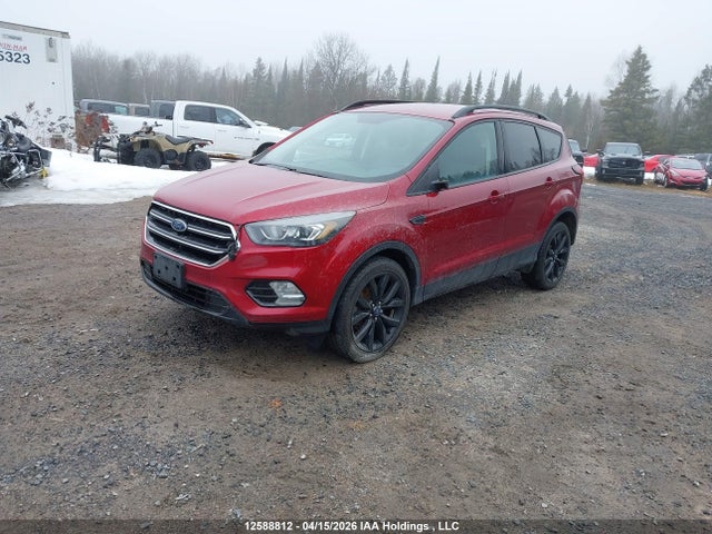 2019 Ford Escape Se მანქანა იყიდება აუქციონზე, vin: 1FMCU9GD3KUB38198, აუქციონის ნომერი: 12588812