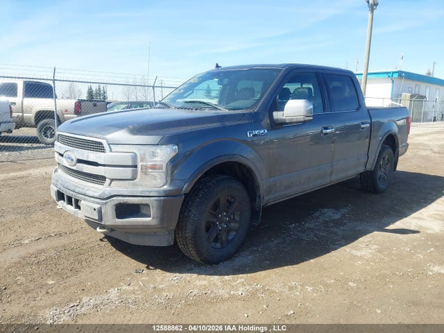 Продажа на аукционе авто 2019 Ford F150 Supercrew, vin: 1FTEW1E57KFC50074, номер лота: 12588862
