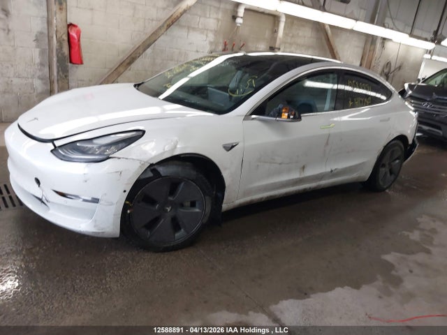 Продажа на аукционе авто 2019 Tesla Model 3 Long Range/mid Range/standard Range/standard Range Plus, vin: 5YJ3E1EA8KF487748, номер лота: 12588891
