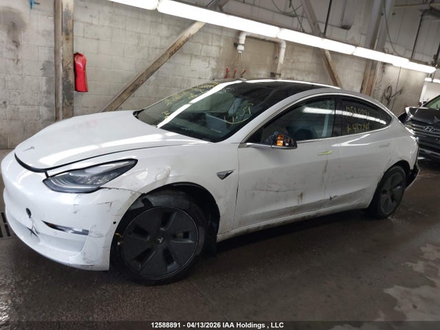 Продажа на аукционе авто 2019 Tesla Model 3 Long Range/mid Range/standard Range/standard Range Plus, vin: 5YJ3E1EA8KF487748, номер лота: 12588891