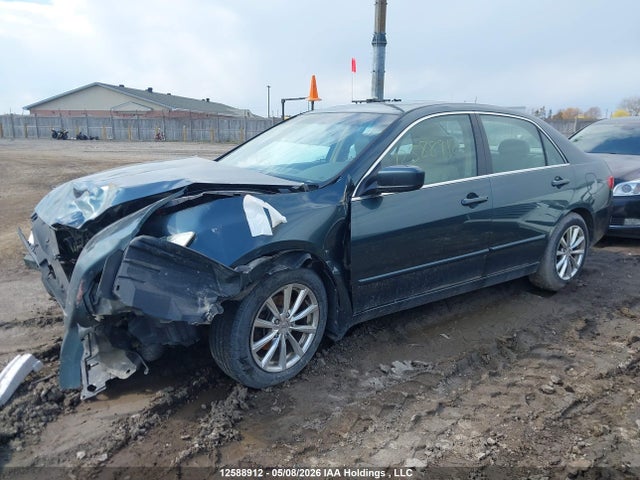 2005 Honda Accord Ex V6 მანქანა იყიდება აუქციონზე, vin: 1HGCM66525A800339, აუქციონის ნომერი: 12588912