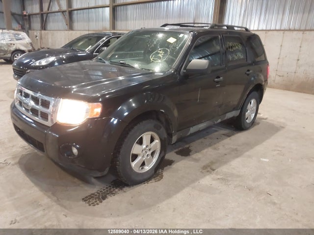 Продажа на аукционе авто 2009 Ford Escape Xlt, vin: 1FMCU03719KB68382, номер лота: 12589040