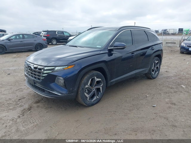 Продаж на аукціоні авто 2023 Hyundai Tucson Luxury, vin: KM8JCCA13PU096807, номер лоту: 12589141