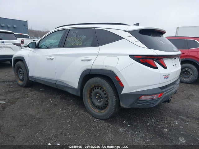 Hyundai Tucson 2023 KM8JB3AE5PU189771 Image 3