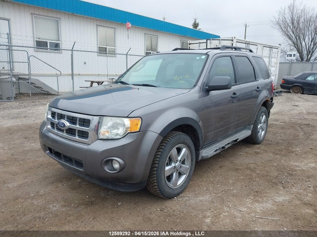 2010 Ford Escape Xlt მანქანა იყიდება აუქციონზე, vin: 1FMCU9DG7AKC21142, აუქციონის ნომერი: 12589292