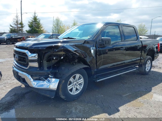 Продажа на аукционе авто 2023 Ford F150 Supercrew, vin: 1FTFW1E86PKF64375, номер лота: 12589434