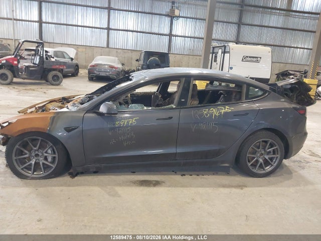 Продаж на аукціоні авто 2023 Tesla Model 3 Rwd, vin: LRW3E1FA4PC921115, номер лоту: 12589475
