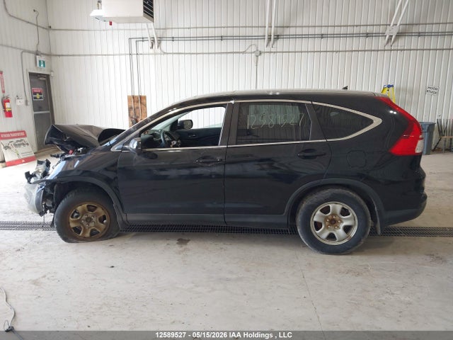 Honda CR-V 2016 2HKRM4H55GH129920 Image 14