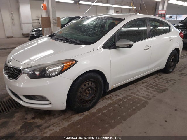 2014 Kia Forte მანქანა იყიდება აუქციონზე, vin: KNAFX4A6XE5090443, აუქციონის ნომერი: 12589574