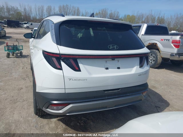 Продаж на аукціоні авто 2025 Hyundai Tucson Sel Convenience, vin: KM8JCDD15SU358532, номер лоту: 12589638