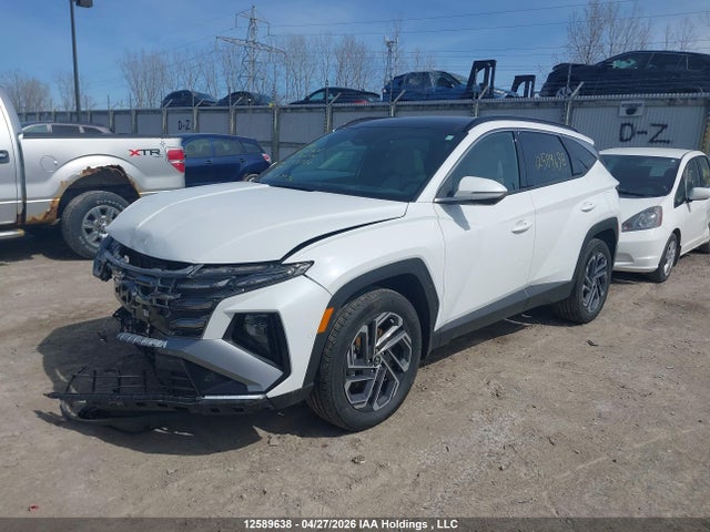 Продаж на аукціоні авто 2025 Hyundai Tucson Sel Convenience, vin: KM8JCDD15SU358532, номер лоту: 12589638