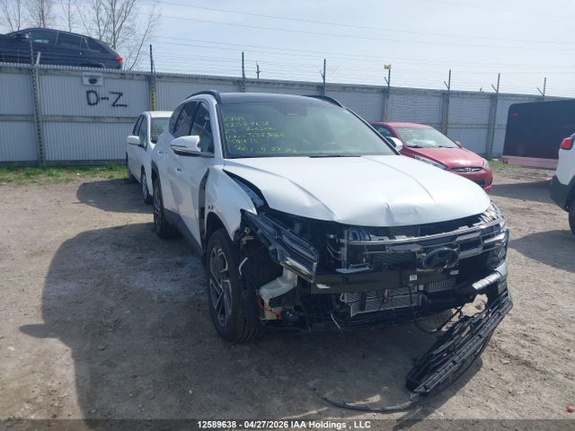 Продаж на аукціоні авто 2025 Hyundai Tucson Sel Convenience, vin: KM8JCDD15SU358532, номер лоту: 12589638