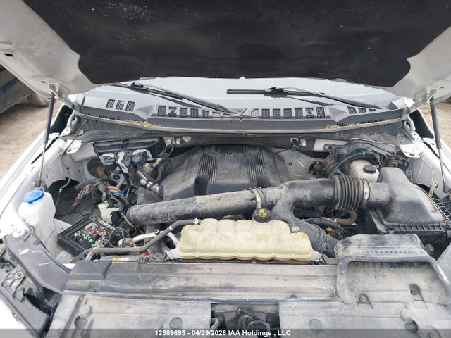 1FTFW1E40LFC75895 Ford F-150 Xlt
