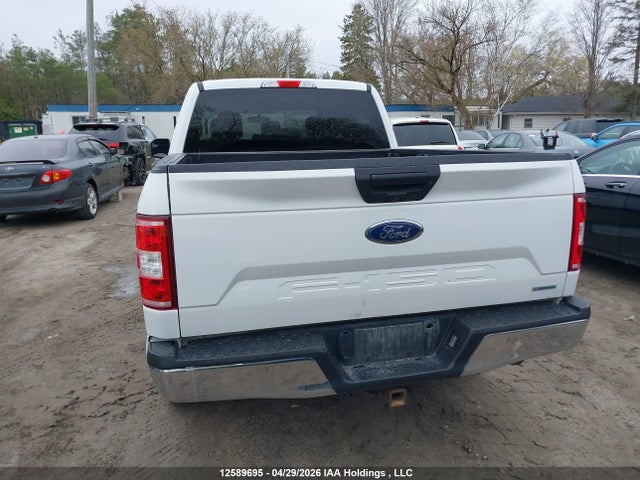1FTFW1E40LFC75895 Ford F-150 Xlt