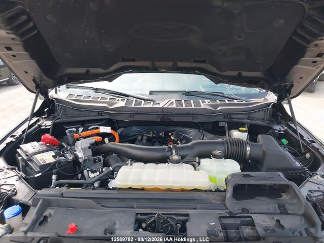 Aukcja sprzedaży 2024 Ford F-150, vin: 1FTFW5LD8RFB49335, numer aukcji: 12589782