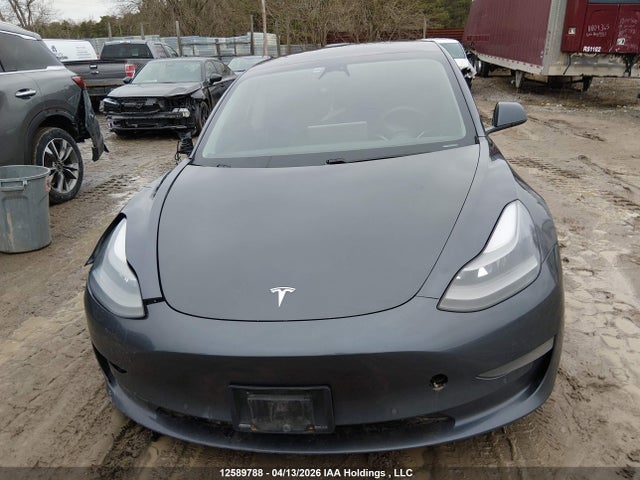 12589788 :رقم المزاد ، 5YJ3E1EB4MF979446 vin ، 2021 Tesla Model 3 Long Range مزاد بيع