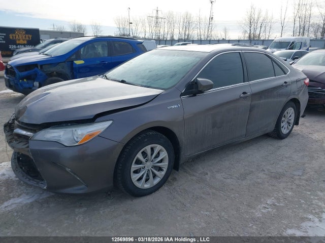 12569896 :رقم المزاد ، 4T1BD1FK3GU200655 vin ، 2016 Toyota Camry Hybrid Le مزاد بيع