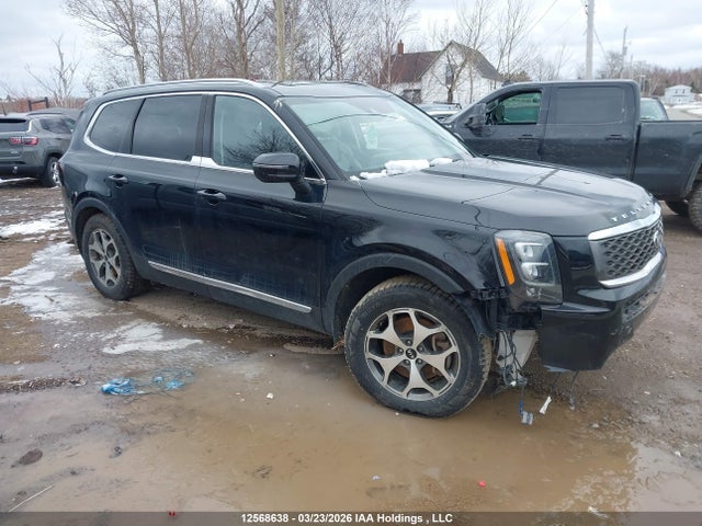 5XYP3DHC7LG013872 KIA Telluride Ex