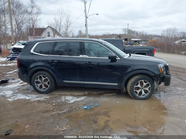5XYP3DHC7LG013872 KIA Telluride Ex