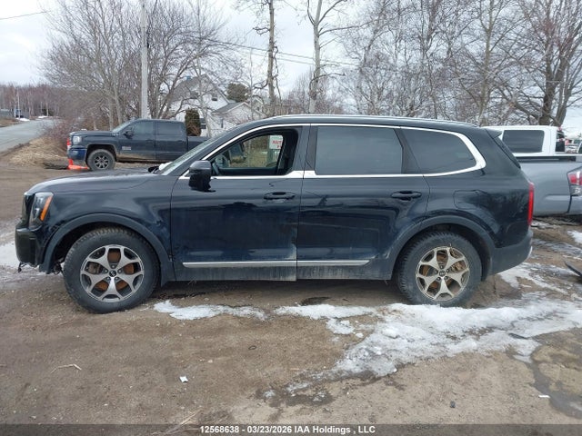 5XYP3DHC7LG013872 KIA Telluride Ex