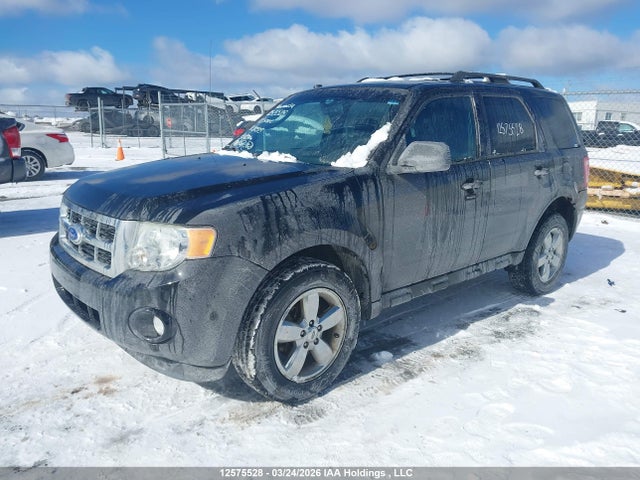 Aukcja sprzedaży 2011 Ford Escape Xlt Automatic, vin: 1FMCU0D71BKC20503, numer aukcji: 12575528