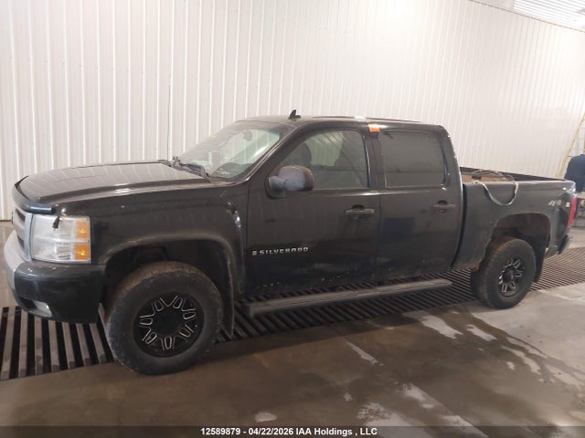 2009 Chevrolet Silverado 1500 Lt/ltz/wt მანქანა იყიდება აუქციონზე, vin: 2GCEK133191130799, აუქციონის ნომერი: 12589879