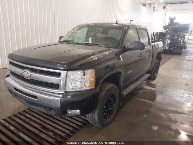 2009 Chevrolet Silverado 1500 Lt/ltz/wt მანქანა იყიდება აუქციონზე, vin: 2GCEK133191130799, აუქციონის ნომერი: 12589879