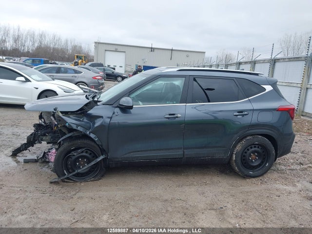 2024 Kia Seltos Ex მანქანა იყიდება აუქციონზე, vin: KNDEUCAA6R7598778, აუქციონის ნომერი: 12589887