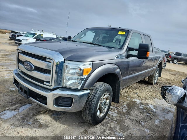 Продажа на аукционе авто 2013 Ford F250 Super Duty, vin: 1FT7W2B60DEA00289, номер лота: 12589947