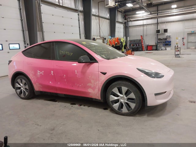 Продаж на аукціоні авто 2024 Tesla Model Y Long Range, vin: 7SAYGDEE1RF066665, номер лоту: 12589969