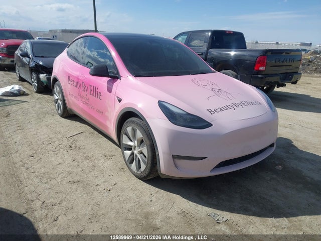 Продаж на аукціоні авто 2024 Tesla Model Y Long Range, vin: 7SAYGDEE1RF066665, номер лоту: 12589969