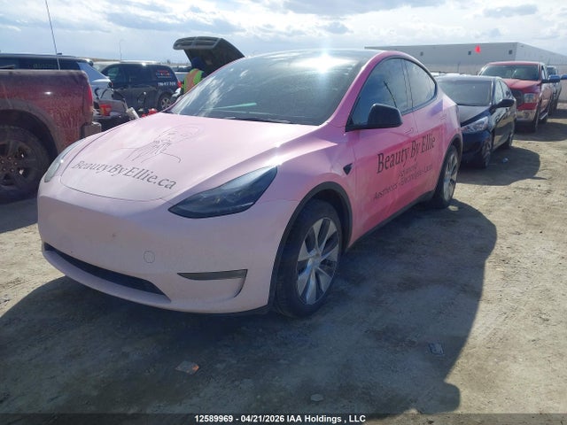Продаж на аукціоні авто 2024 Tesla Model Y Long Range, vin: 7SAYGDEE1RF066665, номер лоту: 12589969