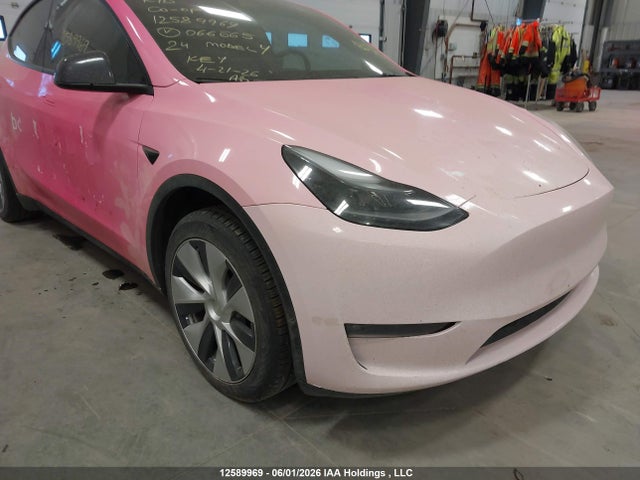 Продаж на аукціоні авто 2024 Tesla Model Y Long Range, vin: 7SAYGDEE1RF066665, номер лоту: 12589969