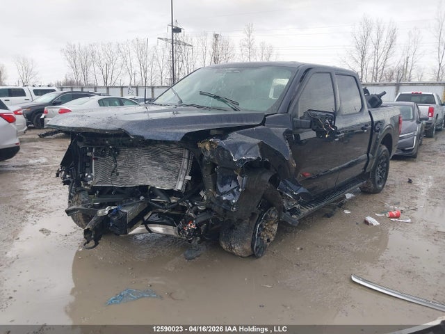 Ford F-150 2025 1FTEW3LP6SFC44041 Image 6