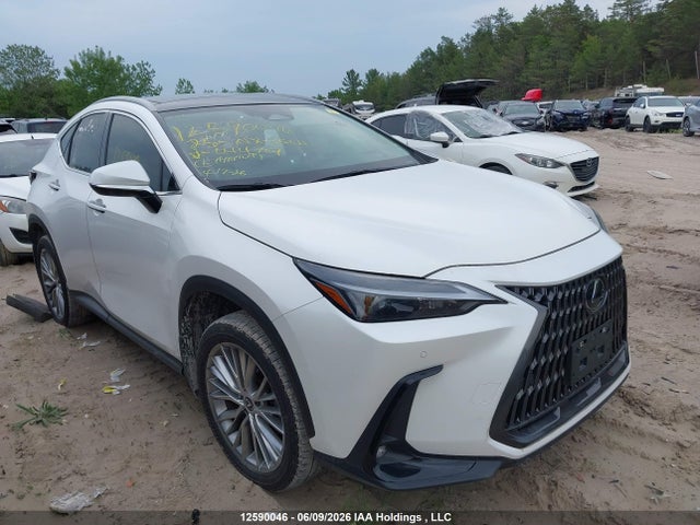 Lexus Nx 350h 350h 2025 2T2GKCEZXSC044707 Image 14