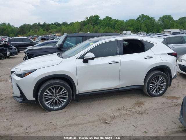Lexus Nx 350h 350h 2025 2T2GKCEZXSC044707 Image 15