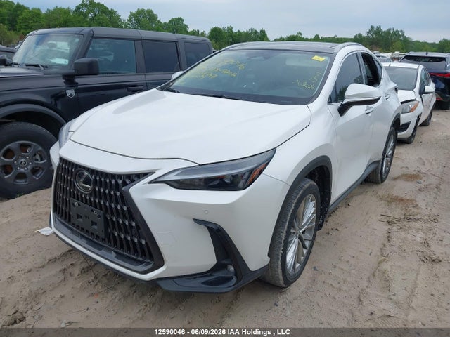 Lexus Nx 350h 350h 2025 2T2GKCEZXSC044707 Image 2