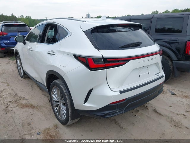 Lexus Nx 350h 350h 2025 2T2GKCEZXSC044707 Image 3
