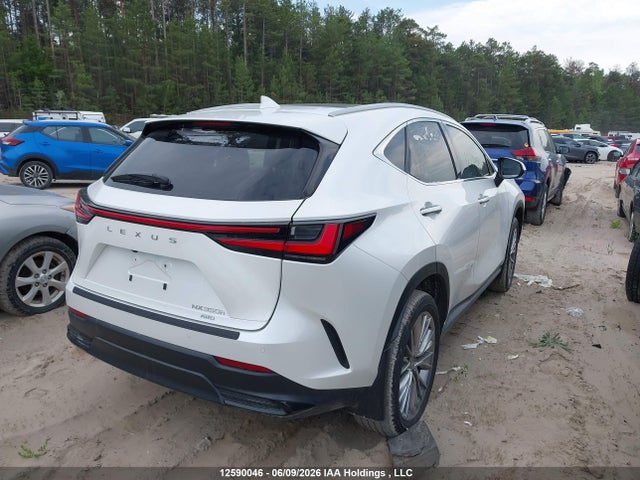 Lexus Nx 350h 350h 2025 2T2GKCEZXSC044707 Image 4