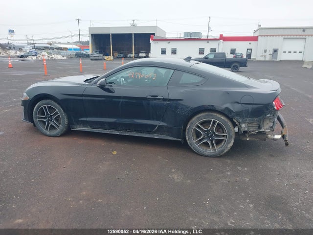 12590052 :رقم المزاد ، 1FA6P8TH2L5142448 vin ، 2020 Ford Mustang Ecoboost مزاد بيع