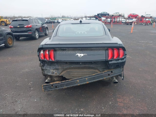 12590052 :رقم المزاد ، 1FA6P8TH2L5142448 vin ، 2020 Ford Mustang Ecoboost مزاد بيع