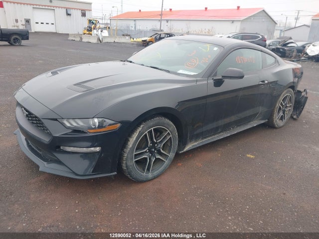 12590052 :رقم المزاد ، 1FA6P8TH2L5142448 vin ، 2020 Ford Mustang Ecoboost مزاد بيع