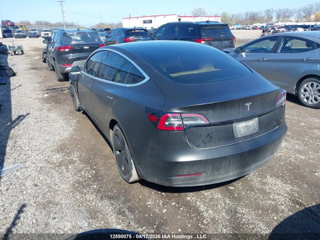 Tesla Model 3 Standard Range Plus 2020 5YJ3E1EA0LF786698 Image 3