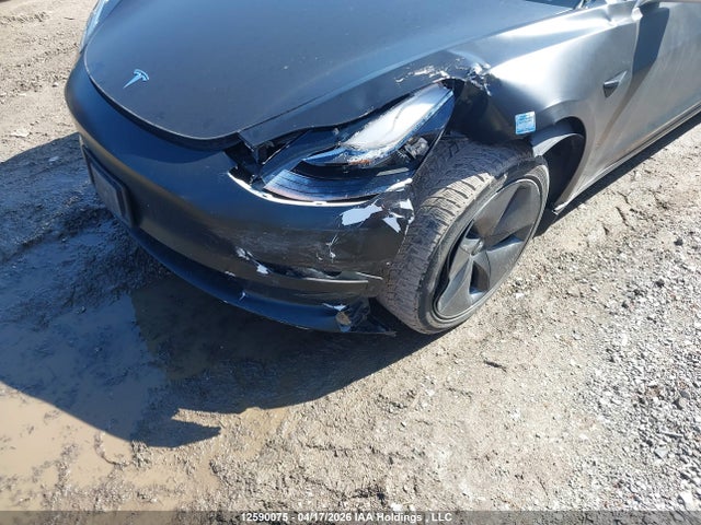 Tesla Model 3 Standard Range Plus 2020 5YJ3E1EA0LF786698 Image 6