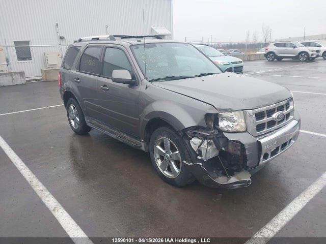 Auction sale of the 2010 Ford Escape Limited, vin: 1FMCU9EG8AKD13763, lot number: 12590101
